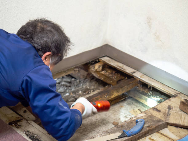 Water Damage Restoration in Austintown, OH