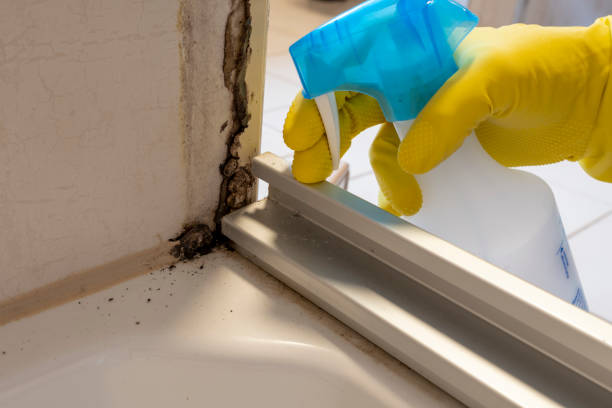 Best Water Damage Restoration  in Austintown, OH